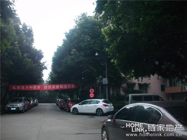 二十一世纪花园图片