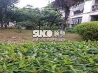 阳光海岸小区,武汉阳光海岸二手房,地址,业主论坛,怎么样
